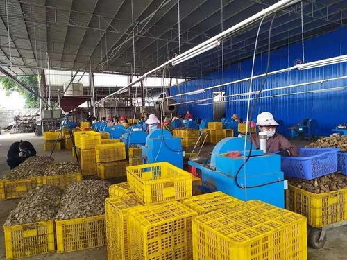 防疫復工兩不誤 廣西南寧巾幗顯擔當